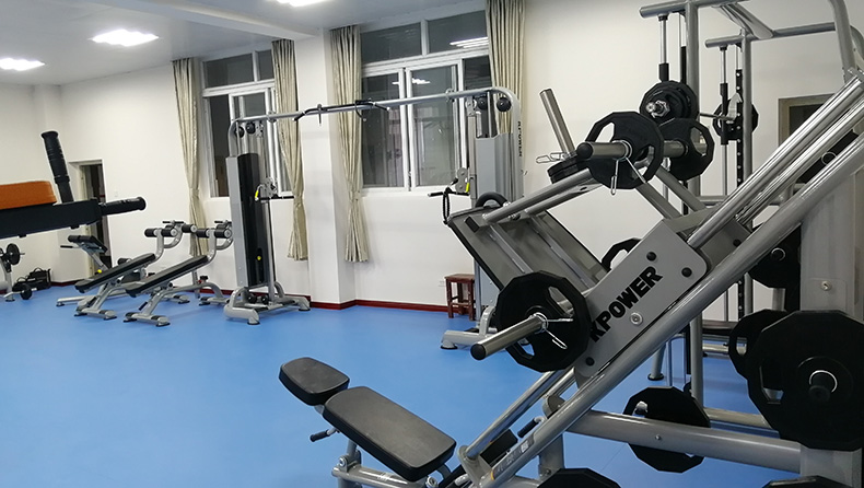 健身房力量器材