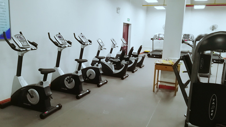 立式卧式健身车