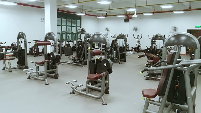 健身房力量器材