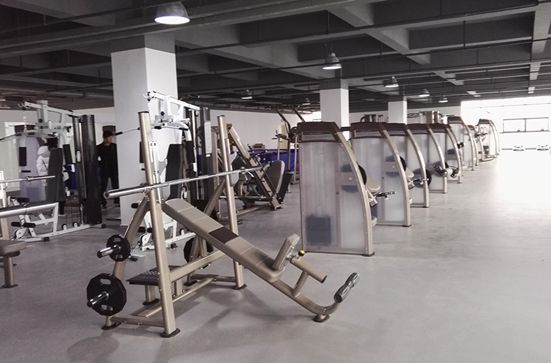 新贵族健身房力量器材
